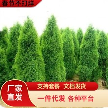 һlɘ猚ɰؘȰؘɰؘGͥԺļ