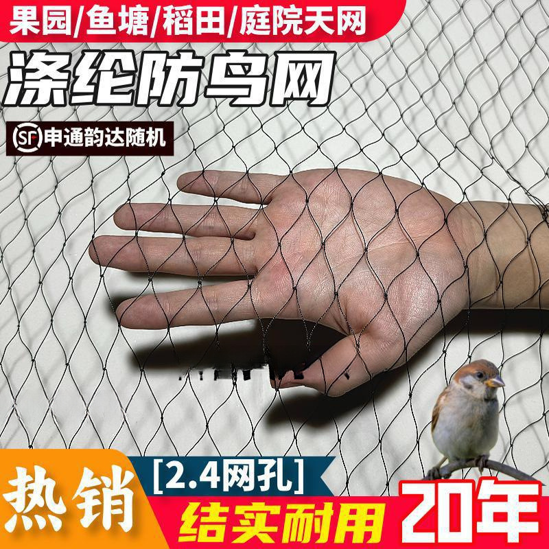 大棚专用防鸟网黑色涤纶果树防护网养殖鱼塘果园农田拦鸟天网批发