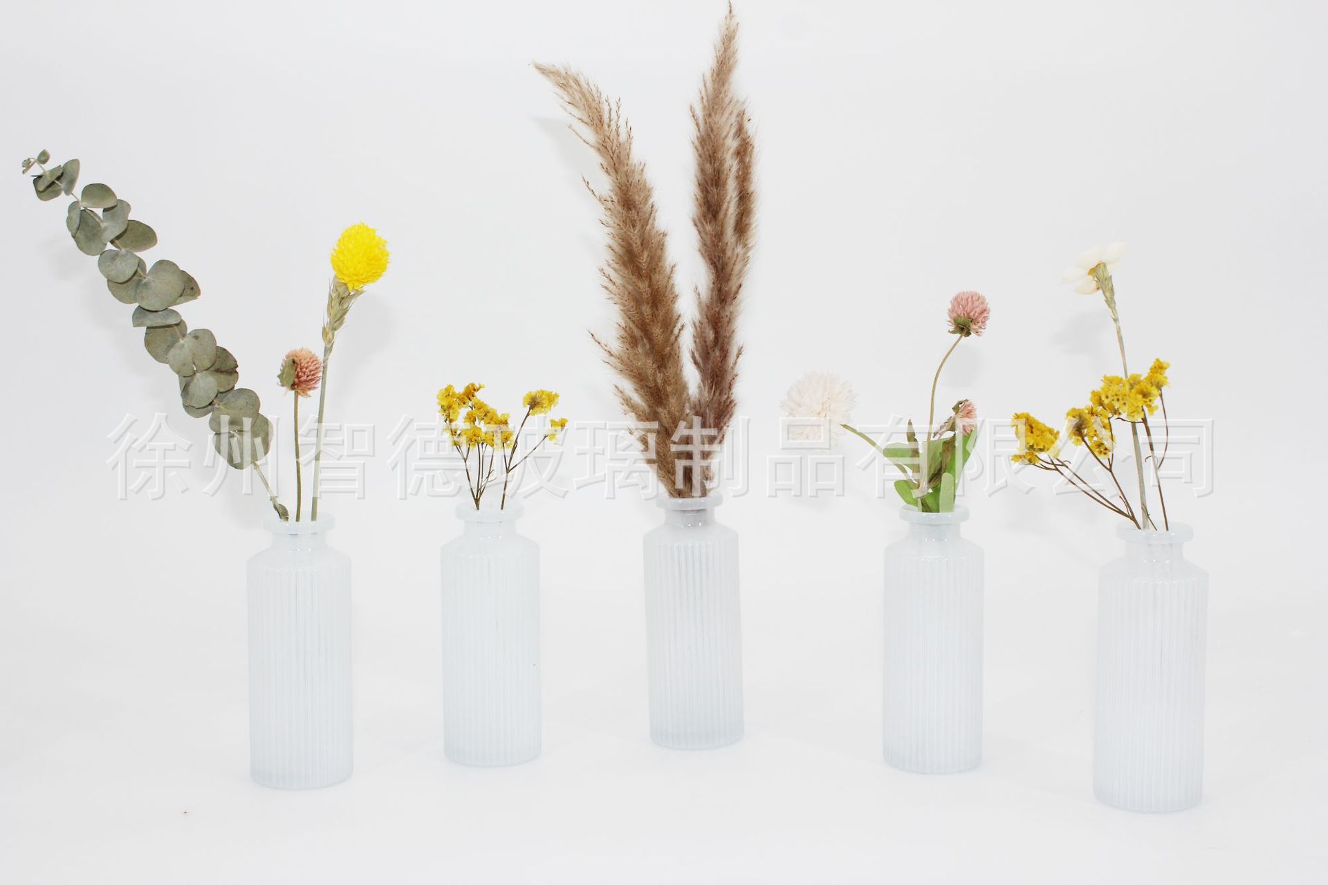 작은 세로줄무늬 유백색 6종 세트