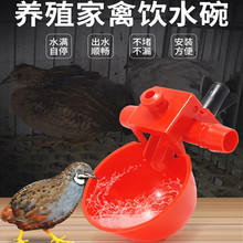 �����ˮ���u���Z���Ԅ��ˮ���g���J���u�������Ӻ�ˮ���Bֳˮ��