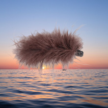 ��ɫ��ë���Rβ�㽶�A�Q�AŮ2025�¿�ץ�A�̶�����M���X�װl�