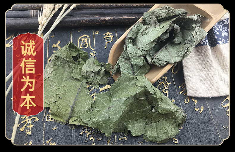 Dried Eucommia Leaf Du Zhong Ye Loose Herbal Tea Leaves 500g Bulk Raw Herb in use