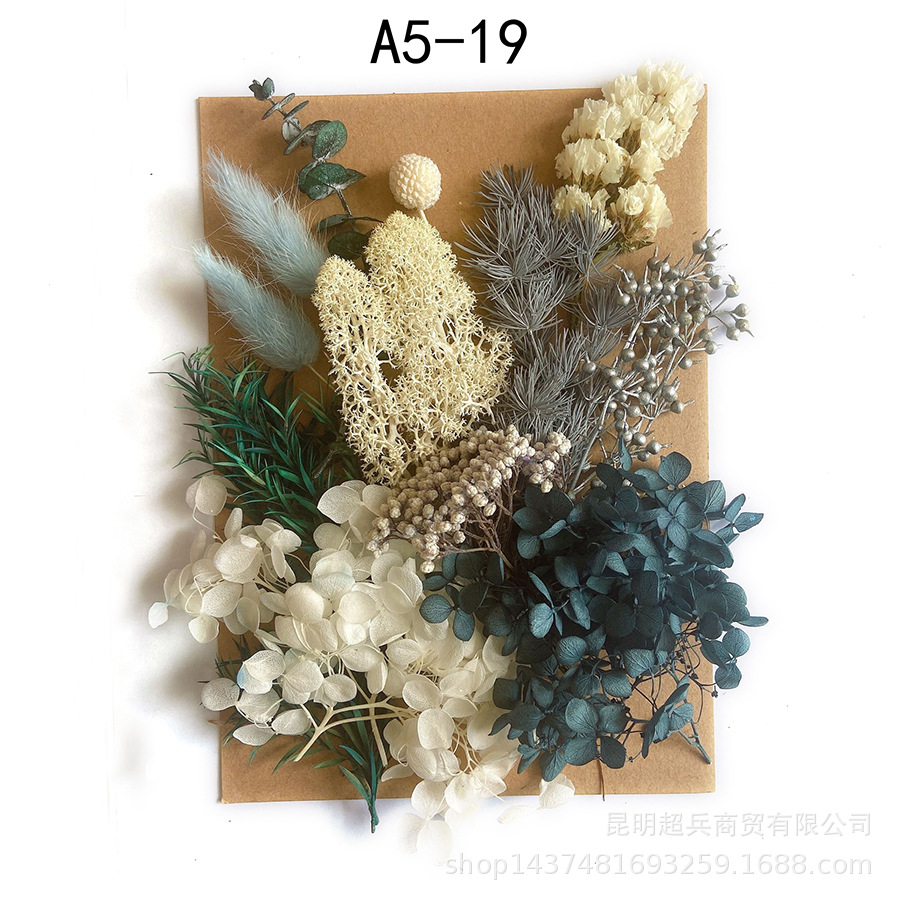 [Paquete de material de estampado A5] Flor seca flor eterna marco de fotos paquete de material de estampado DIY flor aromaterapia vela flor seca