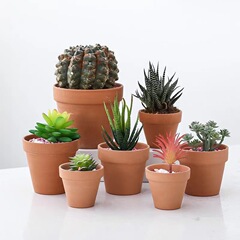 メーカー直販紅陶植木鉢多肉植木鉢陶磁器植木鉢通気性吸水性強紅陶土植木鉢