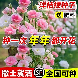�N�N���ļ������������׻������ӽ۹���������ʳ���҃ȷN���_���o