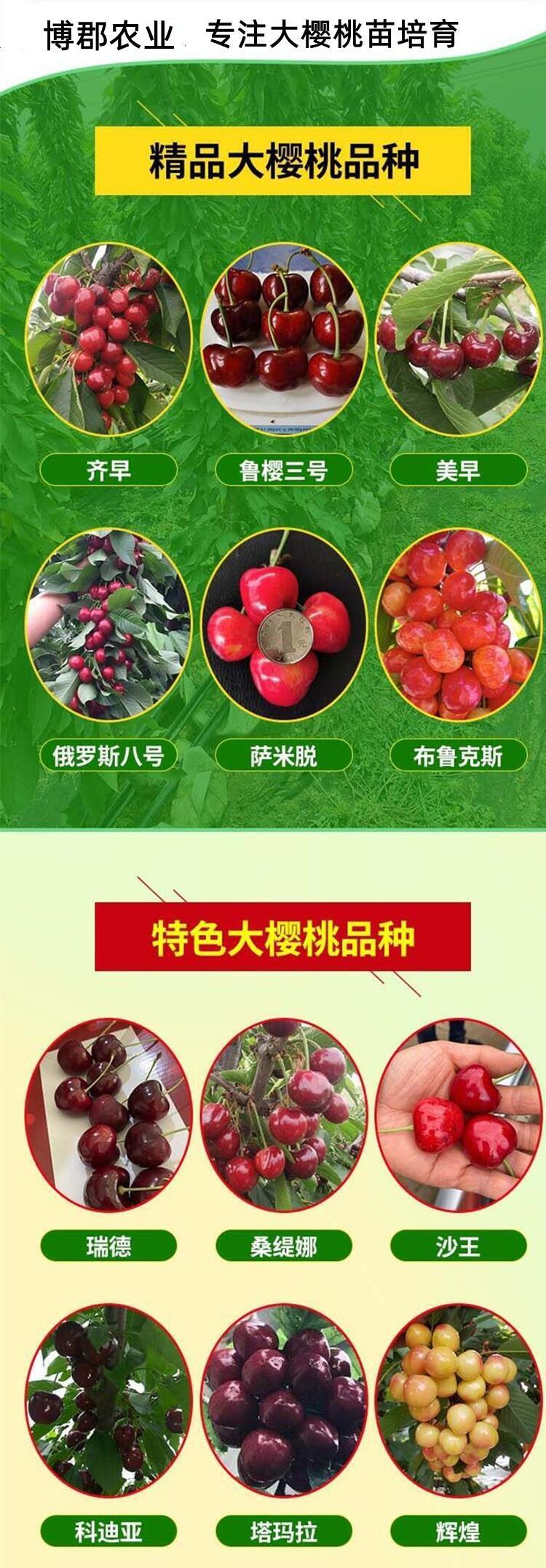 u=2227640667,1861464875&fm