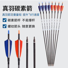 ���l6.2mm����̼�ؼ���̼�����y���C������ ���⸂�������ِ̼��