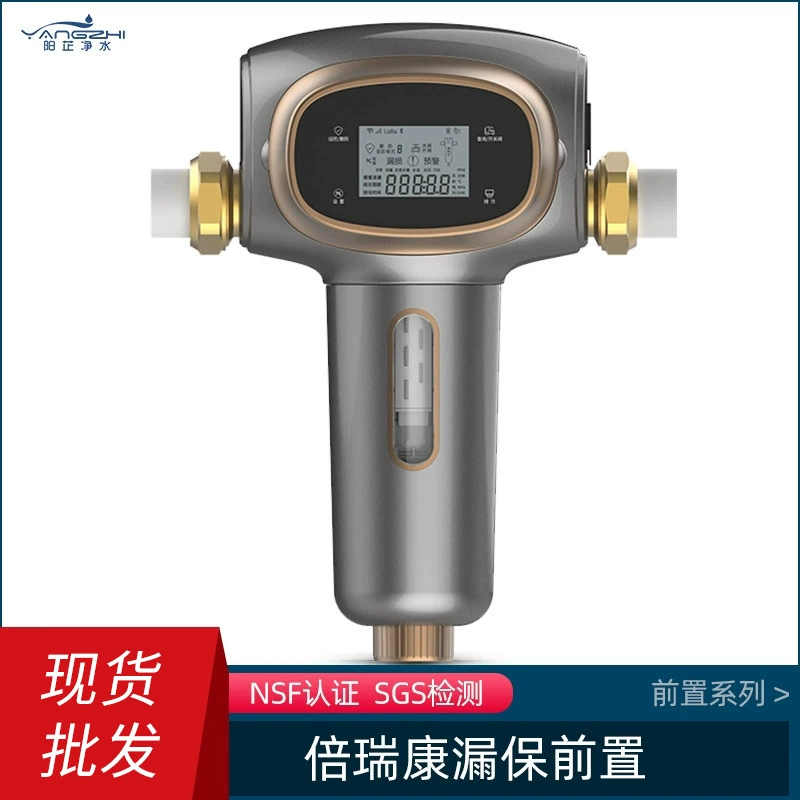 Beishibeiruikang BRISK удаленное приложение защита от утечки основной трубы Очистка воды весь дом медный передний фильтр