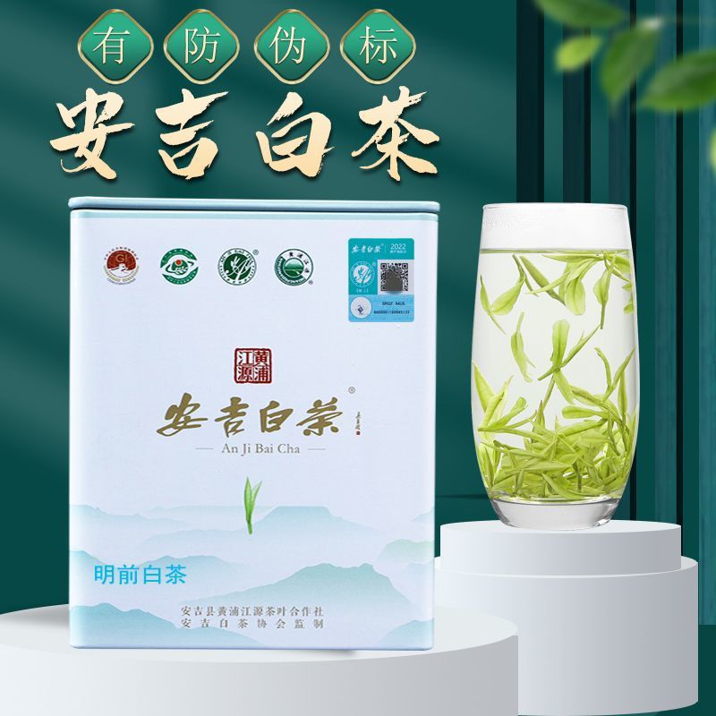 安吉白茶2023新茶明前特级茶叶高山散装绿茶珍稀正宗白茶礼盒装