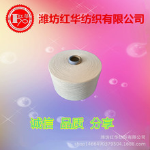 21֧���������޼�ᘿ������� ������ȫ�޼����S�����a  OEC21S