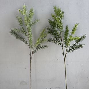 ֦һw ˮ ܛzGֲcֲٻb