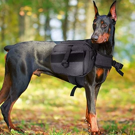 狗狗包、箱;运动背包;旅行包袋