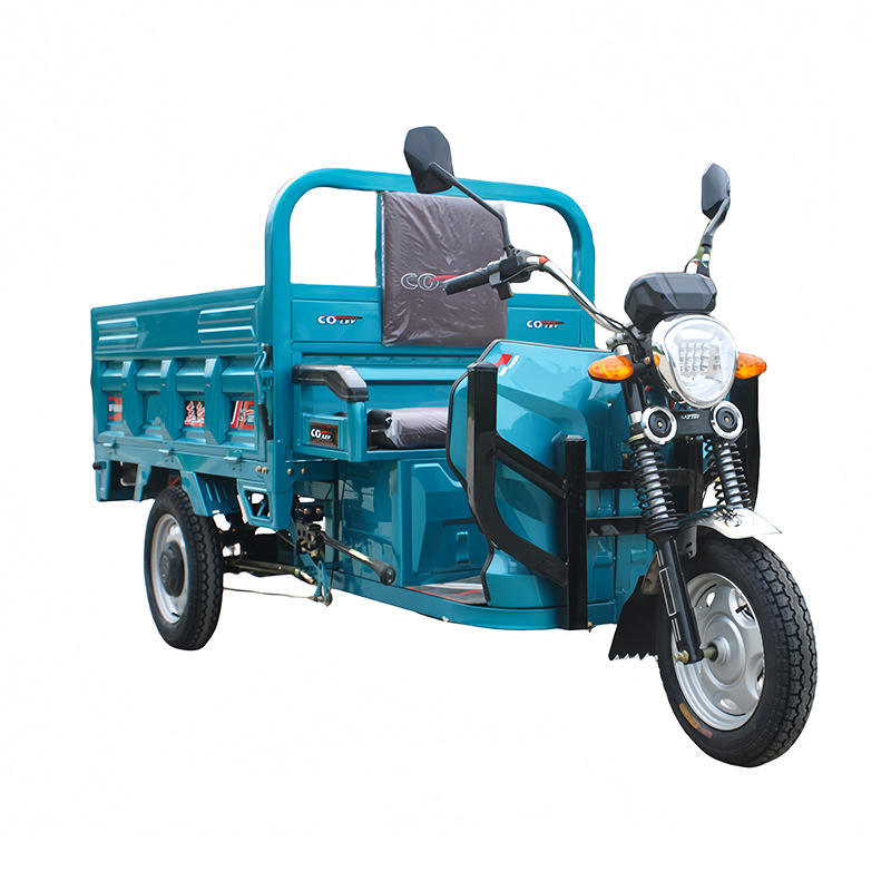 Triciclo eléctrico para transporte de carga, vehículo eléctrico agrícola, triciclo eléctrico para adultos, vehículo eléctrico de alta resistencia para subir pendientes, triciclo con sidecar.