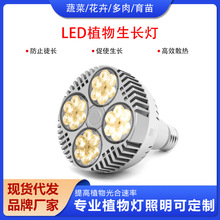 ���R�d�����W�ޟ��N120Wֲ�������ȫ���V�Gֲ���L��PAR�t�{��