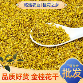 金桂花广西桂林茶叶养生茶散批无硫熏冻干桂花干源头工厂