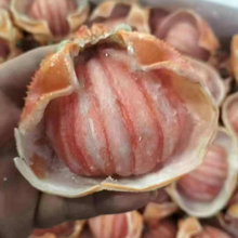 ���K������rз�� ����з���з��70g/ֻ������ʳ�����l�ش�