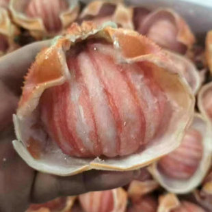 ���K������rз�� ����з���з��70g/ֻ������ʳ�����l�ش�