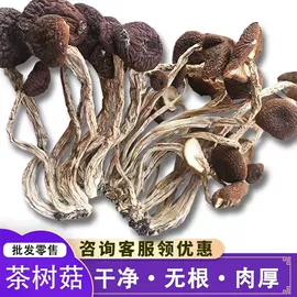 莲子;茶树菇