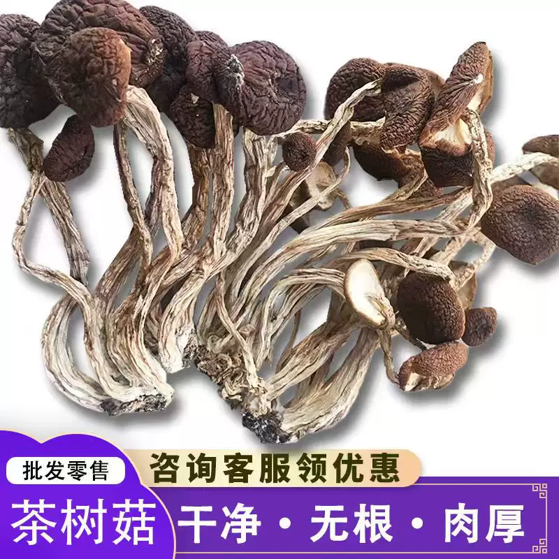 产地直供茶树菇干货农家自产煲汤火锅无硫新货500袋装茶树菇