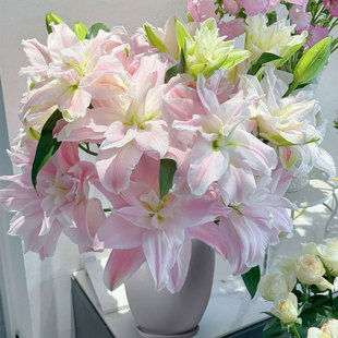 ��ˮ�ٺϷN��ѿ�ͺ��ļ������҃����̨���ܾGֲ�N�ӝ����ͻ���