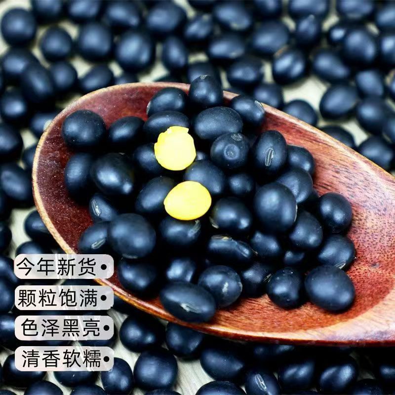 黄芯黑豆黄心装东北黑黄豆纯黑黑豆新货打豆浆发豆芽新豆批发代发