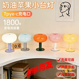 装饰台灯;充电台灯;落地灯