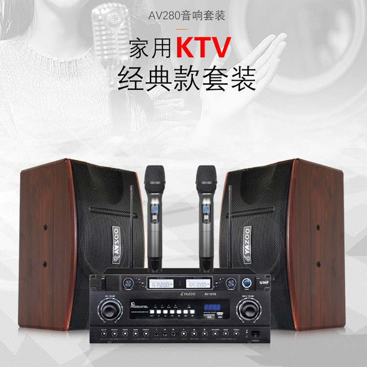 Venta al por mayor personalizado familia KTV profesional audio traje hogar karaoke Conferencia conjunto completo 10 pulgadas titular de la tarjeta altavoz