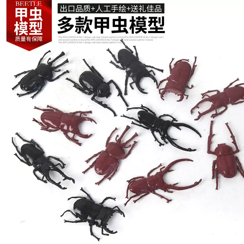新款甲虫模型逼真动物模型多款甲虫实心批发模型儿童玩具塑胶昆虫