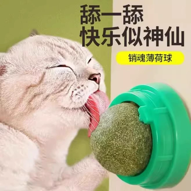 Мяч с кошачьей мятой, настенная игрушка для кошек, саморазвлечение, облегчение скуки, корм для прорезывания зубов, лизание печенья, игрушки для кошек, оптовая продажа