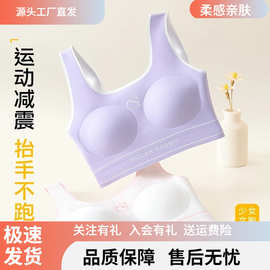 MolarRabbit磨牙兔10-18岁少女专业运动定型儿童女童内衣四季可穿