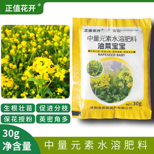 Rape Baby High Yield, Grain Fullness, Oil Yield, Promoting Pollination, Lodging Resistance, Grain Fullness, Special for Rape