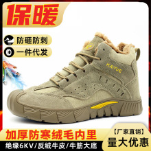 �ڱ�Ь�з��ҷ��̴������ӽq��ů�^��6KV늹���ȫ��ĥ��������Ь