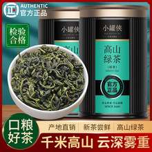 批发小罐侠绿茶高品质新茶明前绿茶高山绿茶罐装炒青茶口粮茶