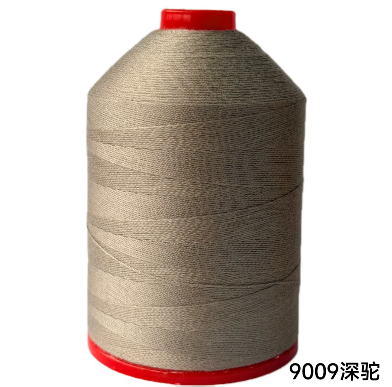 6주 9009 딥 카멜