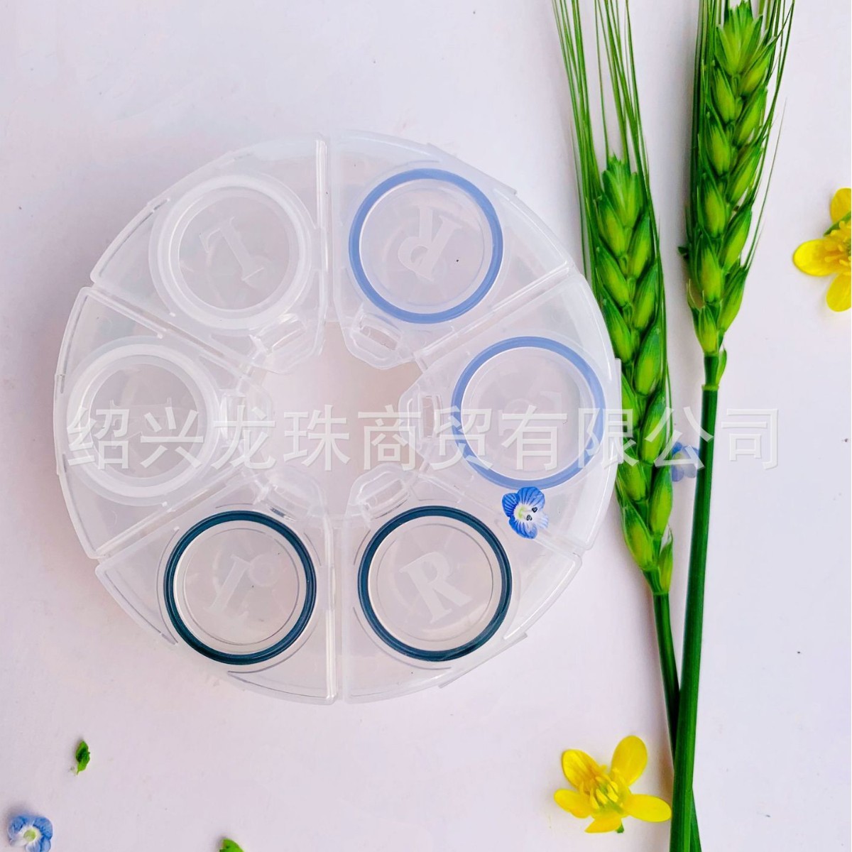 新款简约隐形眼镜伴侣盒圆形多副装卡通盒隐形眼镜美瞳盒xy310