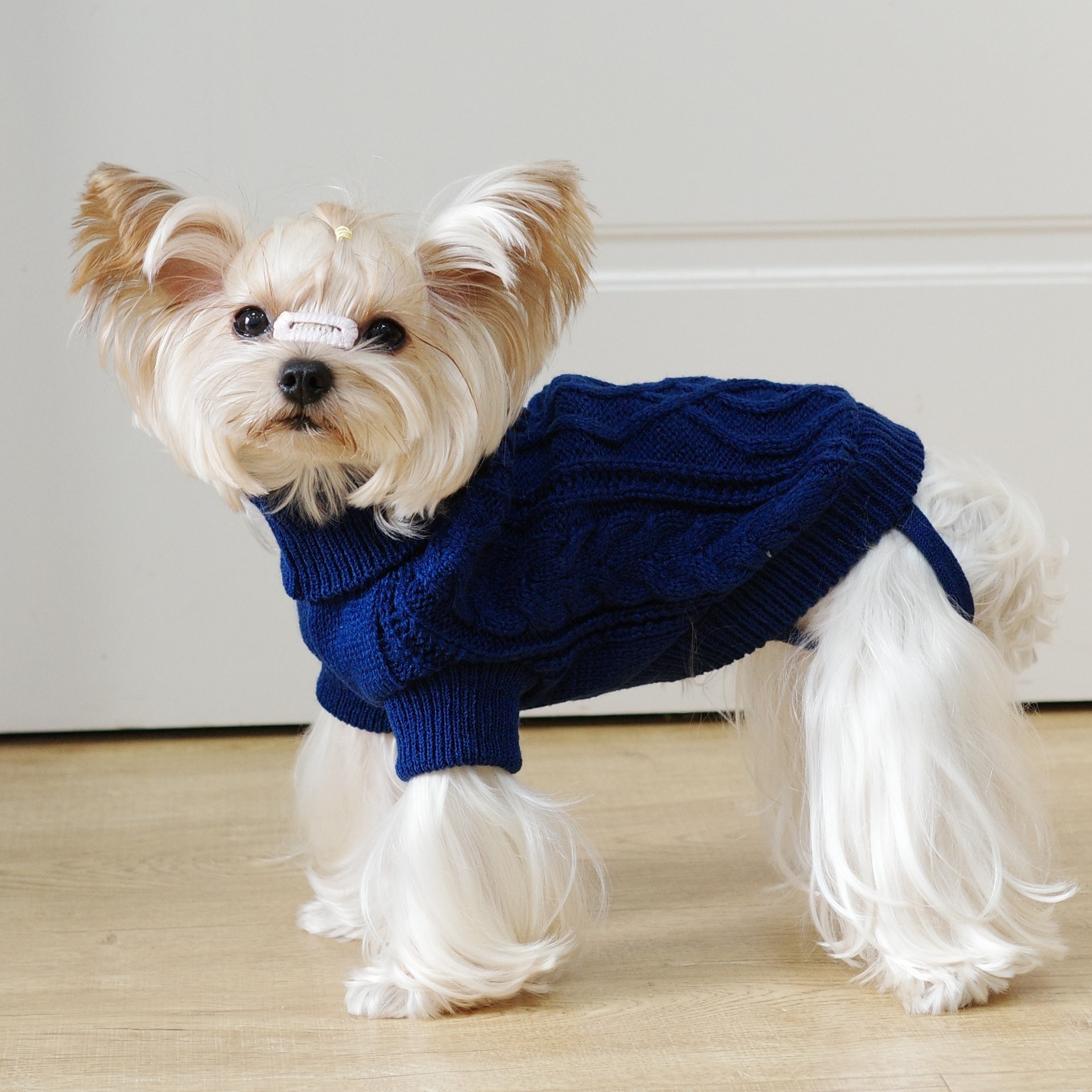 犬のセーター秋と冬ニットツイスト暖かいペット服小型犬テディビションヨークシャー服