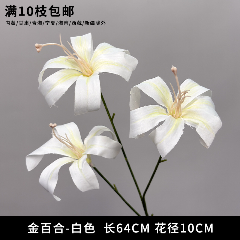 Golden Lily-White
