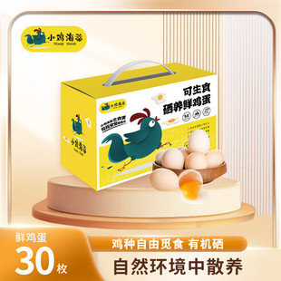 С�u����&middot;����ʳ&middot;���B�r�u��30ö �s1450g ���r�u���Y���b