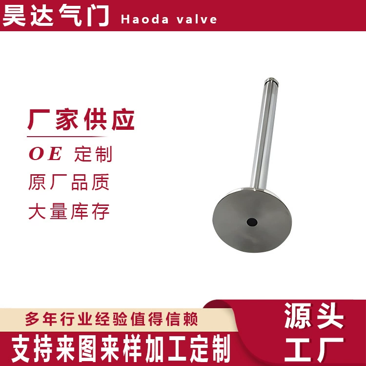 Двигатель Впускной и выпускной клапаны высокого качества источник 96376881 96376980