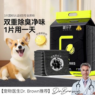 Dog Diapers Disposable Diaper Pads Thickeneded Deodorizing Absorbent Puppy and Kitten Teddy Diapers Cat Pet Diaper Pads