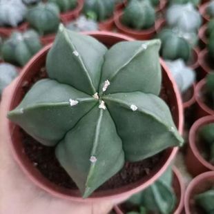 �[�P��o�����������ֲ���k���҃��_����ݗ�������Ȥζ���ֺ��B