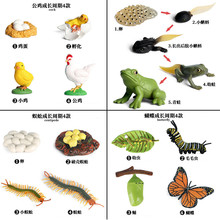 �׃��@���x���L���ژ˱���ͯ��ߺ����ֲ���M���^�̷���ģ���o�B