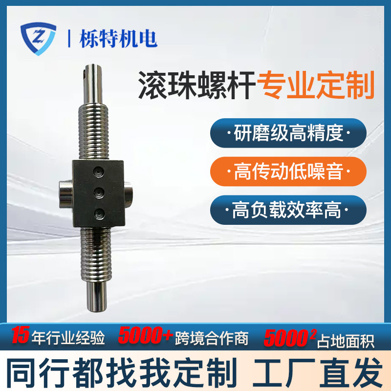 Micro Ball Screw Machine Tool Parts Module Screw High-Precision Ball Screw Processing Screw Nut Micro Ball Screw Machine Tool Parts Module Screw High-Precision Ball Screw Processing Screw Nut