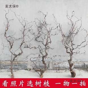 �U���֦�[����������ԭľ���bڒ��ֲ���������֦����̫��