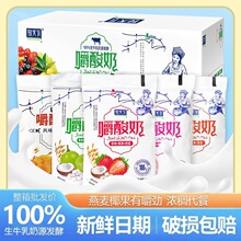新日期牧天下嚼酸奶五种口味各2袋一箱170g/10袋z