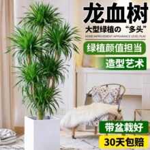 ��Ѫ�������҃ȿ͏d���;Gֲ���^��횘�����Ϙ���լ�������F��