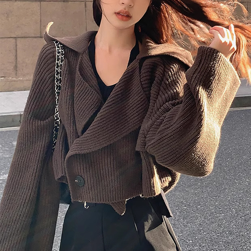 秋季新款设计感别致针织开衫女装复古慵懒风宽松百搭短款针织外套|undefined