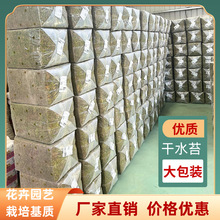 �F؛���lˮ̦����b�m���Nֲʳ�xֲ�����Ȼ��̦�\��̦�����|��