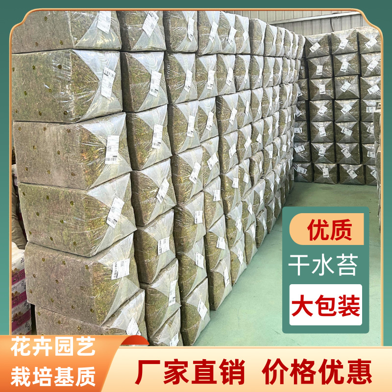 批发天然水苔蝴蝶兰专用石斛大件一级水苔乌龟爬宠垫材批发贵州水