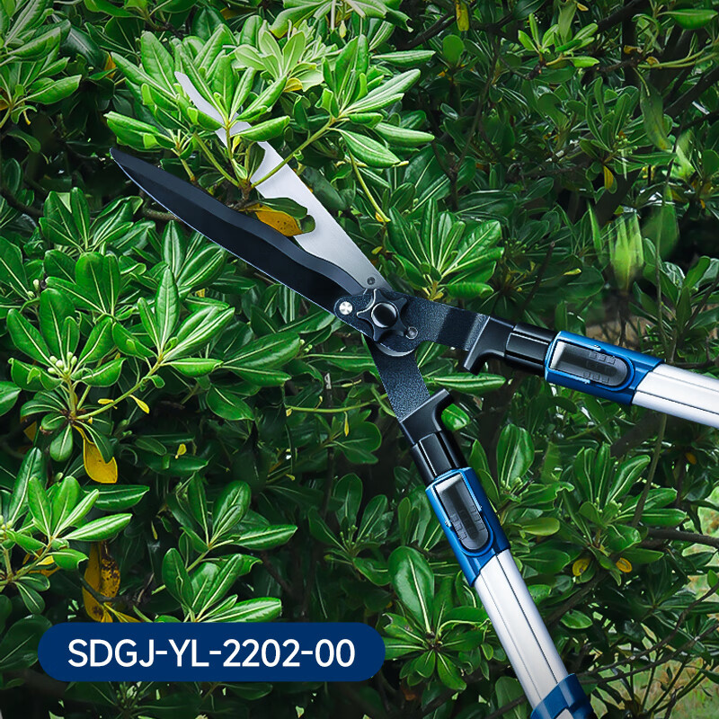 Dongcheng jardinería setos cortadores de flores y hierbas jardinería ramas de frutas cortadoras de jardinería tijeras grandes